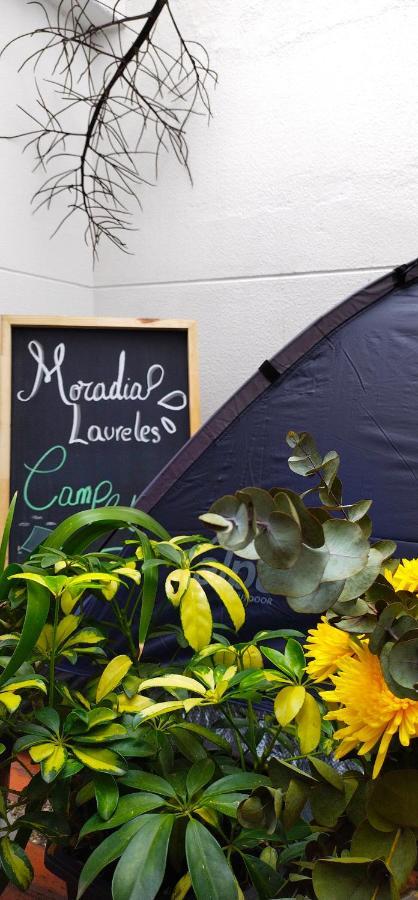 Moradia Laureles Medellin公寓 外观 照片